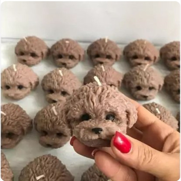 شمع پودل ، هاپو