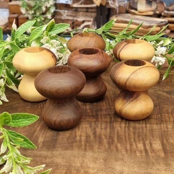 جاخلال دندان چوبی طرح قارچ