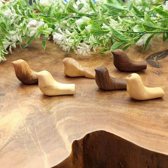 جوجه چوبی کوچک (پرنده)