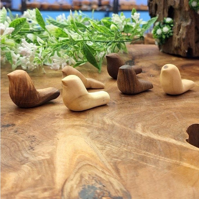جوجه چوبی کوچک (پرنده)