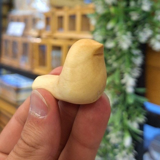 جوجه چوبی کوچک (پرنده)