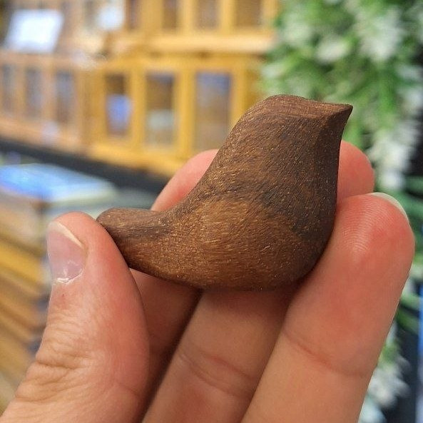 جوجه چوبی کوچک (پرنده)