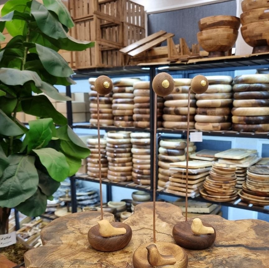 جاعودی وارونه پرنده