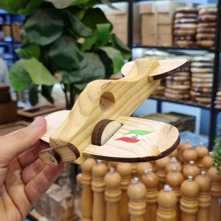 هواپیمای ملخی پرچم ایران